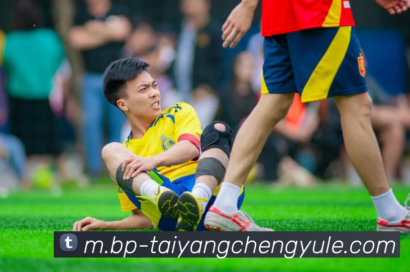 多媒体互动体验